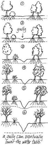 Controlling Erosion